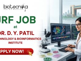 ₹37,000 + HRA Junior Research Fellow Job at Dr. D. Y. Patil Biotechnology and Bioinformatics Institute