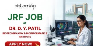 ₹37,000 + HRA Junior Research Fellow Job at Dr. D. Y. Patil Biotechnology and Bioinformatics Institute