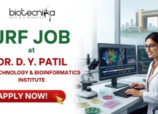 ₹37,000 + HRA Junior Research Fellow Job at Dr. D. Y. Patil Biotechnology and Bioinformatics Institute ₹37,000 + HRA Junior Research Fellow Job at Dr. D. Y. Patil Biotechnology and Bioinformatics Institute
