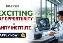 ₹42,000/Month Junior Research Fellow Job At Amity Institute | ANRF-Funded Neuroscience Research Apply for a Junior Research Fellow Job at Amity Institute of Neuropsychology & Neurosciences. Life Science Jobs in 2026