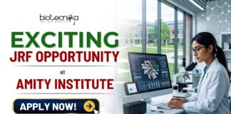 ₹42,000/Month Junior Research Fellow Job At Amity Institute | ANRF-Funded Neuroscience Research Apply for a Junior Research Fellow Job at Amity Institute of Neuropsychology & Neurosciences. Life Science Jobs in 2026