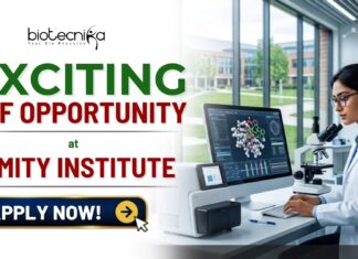 ₹42,000/Month Junior Research Fellow Job At Amity Institute | ANRF-Funded Neuroscience Research Apply for a Junior Research Fellow Job at Amity Institute of Neuropsychology & Neurosciences. Life Science Jobs in 2026