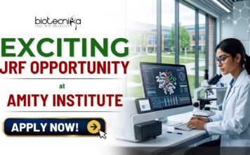 ₹42,000/Month Junior Research Fellow Job At Amity Institute | ANRF-Funded Neuroscience Research Apply for a Junior Research Fellow Job at Amity Institute of Neuropsychology & Neurosciences. Life Science Jobs in 2026