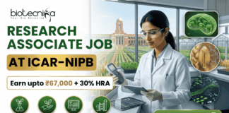 ₹67,000 Salary Research Associate Job at ICAR-NIPB. A professional promotional banner for a "Research Associate Job at ICAR-IARI." The top left corner features the Biotecnika logo. On the left side, bold text reads "RESEARCH ASSOCIATE JOB AT ICAR-IARI", sitting above a highlighted white badge that reads "Earn upto ₹67,000 + 30% HRA". Below the salary badge, four green circular icons are labeled: "AGRICULTURAL INNOVATION", "CROP BREEDING", "DATA ANALYTICS", and "BUILD RESEARCH CAREER". On the right side, a female researcher in a white lab coat and gloves works with a digital tablet and handheld scientific device at a lab counter. Through the large window behind her, the historic brick building and fields of the ICAR-IARI campus are visible. The far right includes three floating circular graphics showcasing plant cell structures, a wheat grain molecular model, and digital gene mapping data. A prominent green "APPLY NOW" button with an arrow is located at the bottom right.