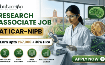 ₹67,000 Salary Research Associate Job at ICAR-NIPB– Apply Before Last Date! ₹67,000 Salary Research Associate Job at ICAR-NIPB. A professional promotional banner for a "Research Associate Job at ICAR-IARI." The top left corner features the Biotecnika logo. On the left side, bold text reads "RESEARCH ASSOCIATE JOB AT ICAR-IARI", sitting above a highlighted white badge that reads "Earn upto ₹67,000 + 30% HRA". Below the salary badge, four green circular icons are labeled: "AGRICULTURAL INNOVATION", "CROP BREEDING", "DATA ANALYTICS", and "BUILD RESEARCH CAREER". On the right side, a female researcher in a white lab coat and gloves works with a digital tablet and handheld scientific device at a lab counter. Through the large window behind her, the historic brick building and fields of the ICAR-IARI campus are visible. The far right includes three floating circular graphics showcasing plant cell structures, a wheat grain molecular model, and digital gene mapping data. A prominent green "APPLY NOW" button with an arrow is located at the bottom right.