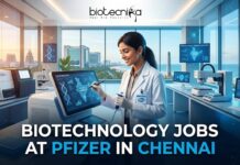 Biotechnology Jobs at Pfizer in Chennai | Apply Online Here Biotechnology Jobs at Pfizer in Chennai | Apply Online Here