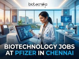 Biotechnology Jobs at Pfizer in Chennai | Apply Online Here