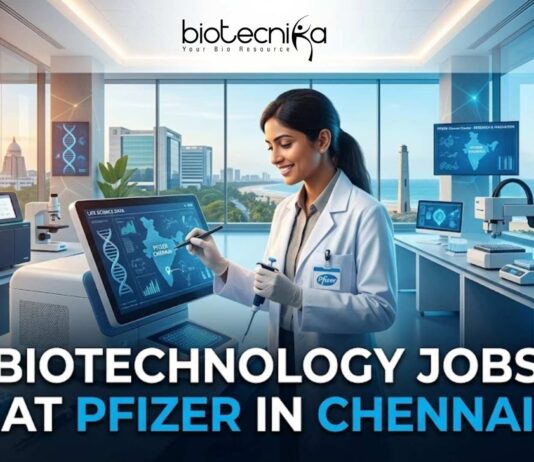 Biotechnology Jobs at Pfizer in Chennai | Apply Online Here Biotechnology Jobs at Pfizer in Chennai | Apply Online Here
