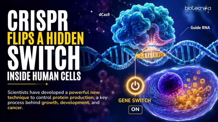 CRISPR Flips a Hidden Switch Inside Human Cells CRISPR Flips a Hidden Switch Inside Human Cells