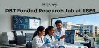 DBT Funded Research Job at IISER | Earn upto ₹42,000 Salary/ Month | Apply Now Apply for the latest Research Job at IISER Mohali. Explore IISER Mohali Jobs for the Senior Research Fellow position with ₹42,000 + HRA