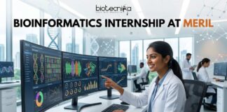 Exciting Bioinformatics Internship at Meril | Work on Computational and Drug Discovery