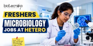 Freshers Microbiology Jobs at Hetero | Walk in Interview in Hyderabad Freshers Microbiology Jobs at Hetero | Walk in Interview in Hyderabad