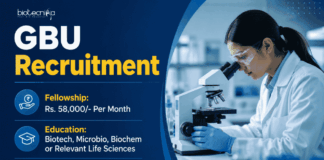Rs. 58,000/- Per Month Salary Research Jobs at GBU – Apply Now Apply for GBU Research Associate Recruitment 2026. Research Jobs in Biotechnology and Life Sciences Career Opportunities await.