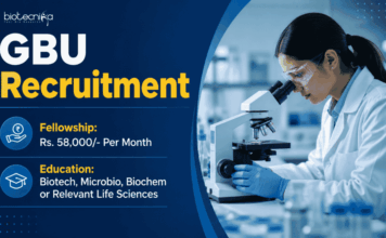 Rs. 58,000/- Per Month Salary Research Jobs at GBU – Apply Now Apply for GBU Research Associate Recruitment 2026. Research Jobs in Biotechnology and Life Sciences Career Opportunities await.