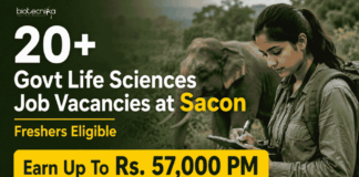 20+ Govt Life Sciences Job Vacancies with Up to 57,000 Pay at Sacon | Freshers Eligible Apply for SACON Recruitment 2026. Govt Zoology & Life Sciences Jobs available for MSc Candidates. Salary up to ₹57,000 + HRA.