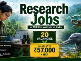 Govt Life Sciences Vacancies at WII with Up to Rs. 57,000/- Pay Per Month | Apply Online Wildlife Institute of India Recruitment 2026 Announced Multiple Govt Life Sciences Vacancies. Apply Online for Research Jobs.