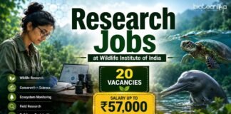 Govt Life Sciences Vacancies at WII with Up to Rs. 57,000/- Pay Per Month | Apply Online Wildlife Institute of India Recruitment 2026 Announced Multiple Govt Life Sciences Vacancies. Apply Online for Research Jobs.