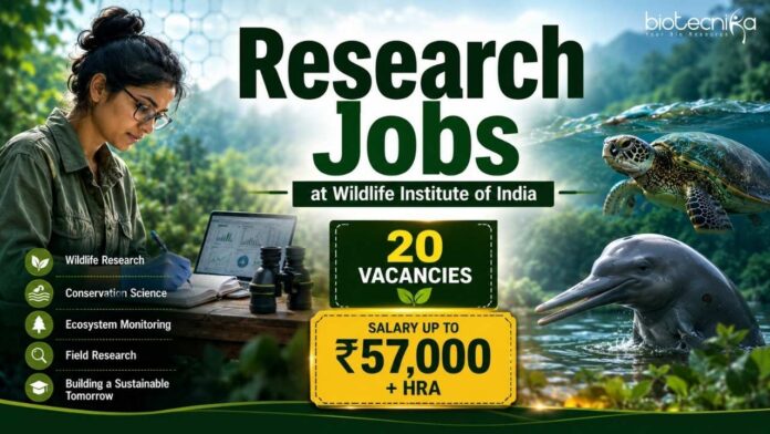 Govt Life Sciences Vacancies at WII Wildlife Institute of India Recruitment 2026 Announced Multiple Govt Life Sciences Vacancies. Apply Online for Research Jobs.