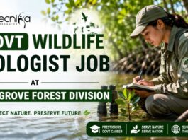 Govt Wildlife Biologist Job Opening at Mangrove Forest Division (Wildlife) Odisha | Apply Now Govt Wildlife Biologist Job Opening at Mangrove Forest Division (Wildlife) Odisha | Apply Now