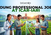 ICAR-IARI Young Professional Job | Earn Upto ₹42,000 Salary | Apply Now ICAR-IARI Young Professional Job | Earn Upto ₹42,000