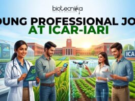 ICAR-IARI Young Professional Job | Earn Upto ₹42,000 Salary | Apply Now ICAR-IARI Young Professional Job | Earn Upto ₹42,000