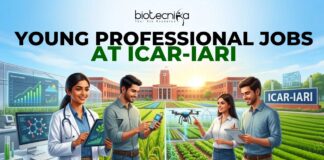 ICAR-IARI Young Professional Job | Earn Upto ₹42,000 Salary | Apply Now ICAR-IARI Young Professional Job | Earn Upto ₹42,000