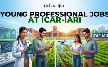 ICAR-IARI Young Professional Job | Earn Upto ₹42,000 Salary | Apply Now ICAR-IARI Young Professional Job | Earn Upto ₹42,000