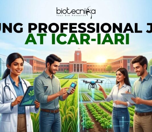 ICAR-IARI Young Professional Job | Earn Upto ₹42,000 Salary | Apply Now ICAR-IARI Young Professional Job | Earn Upto ₹42,000