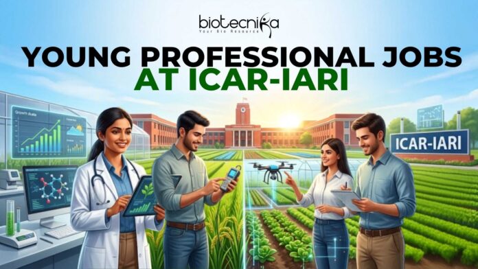 ICAR-IARI Young Professional Job Earn Upto ₹42,000 ICAR-IARI Young Professional Job | Earn Upto ₹42,000