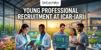 ICAR-IARI Young Professional Recruitment 2026 | Earn Upto ₹42,000/Month – Apply Now! ICAR-IARI Young Professional Recruitment 2026 Earn Upto ₹42,000Month – Apply Now!