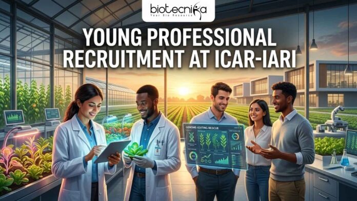 ICAR-IARI Young Professional Recruitment 2026 Earn Upto ₹42,000Month – Apply Now! ICAR-IARI Young Professional Recruitment 2026 Earn Upto ₹42,000Month – Apply Now!
