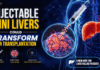 Injectable Mini Livers Could Transform Liver Transplantation MIT Researchers Developed Injectable Mini Livers that Function Inside the Body, Offering a Potential New Approach to Liver Transplantation.