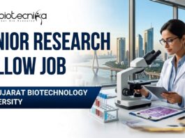 Junior Research Fellow Job Recruitment at Gujarat Biotechnology University | Apply Online