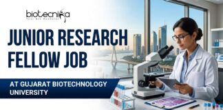 Junior Research Fellow Job Recruitment at Gujarat Biotechnology University | Apply Online Junior Research Fellow Job Recruitment at Gujarat Biotechnology University | Apply Online