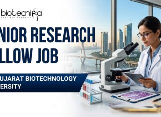 Junior Research Fellow Job Recruitment at Gujarat Biotechnology University | Apply Online Junior Research Fellow Job Recruitment at Gujarat Biotechnology University | Apply Online