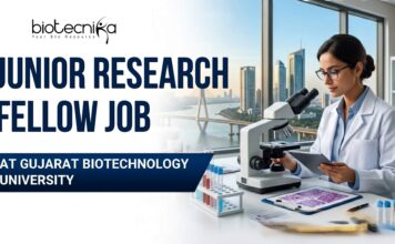 Junior Research Fellow Job Recruitment at Gujarat Biotechnology University | Apply Online Junior Research Fellow Job Recruitment at Gujarat Biotechnology University | Apply Online