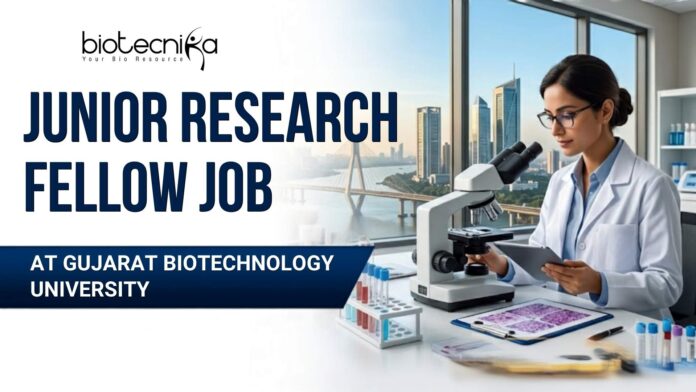 Junior Research Fellow Job Recruitment at Gujarat Biotechnology University Apply Online Junior Research Fellow Job Recruitment at Gujarat Biotechnology University | Apply Online