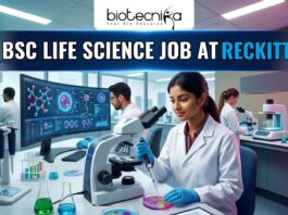 Latest BSc Life Science Job at Reckitt Apply Online Here