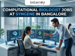 Latest Computational Biologist Job Openings at Syngene | Apply Online Here