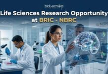 Life Science Research Job at BRIC – National Brain Research Centre Life Science Research Job Opportunity at BRIC - NBRC | Apply