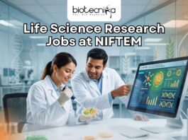 Life Science Research Job at NIFTEM | Earn Upto ₹37,000/Month | Apply Now! Life Science Research Job at NIFTEM | Earn Upto ₹37,000/Month | Apply Now!