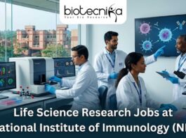 Life Science Research Job at NII | BSc, MSc & MTech Candidates Apply Now Life Science Research Job at NII | BSc, MSc & MTech Candidates Apply Now