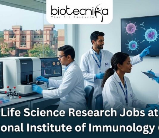 Life Science Research Job at NII | BSc, MSc & MTech Candidates Apply Now Life Science Research Job at NII | BSc, MSc & MTech Candidates Apply Now