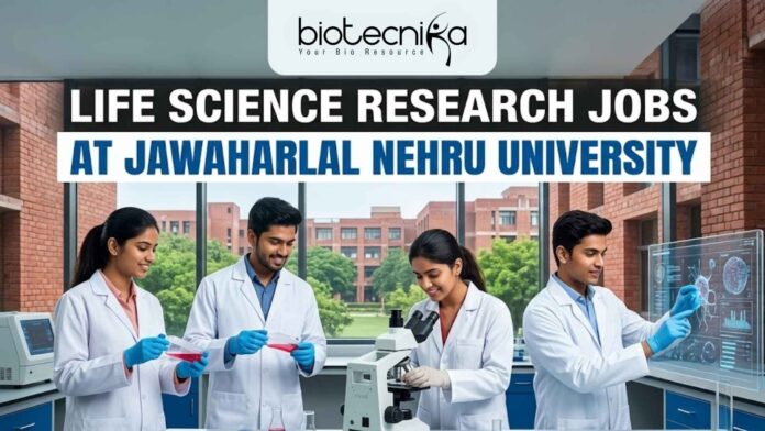 Life Science Research Jobs at Jawaharlal Nehru University (JNU) Life Science Research Jobs at Jawaharlal Nehru University (JNU)