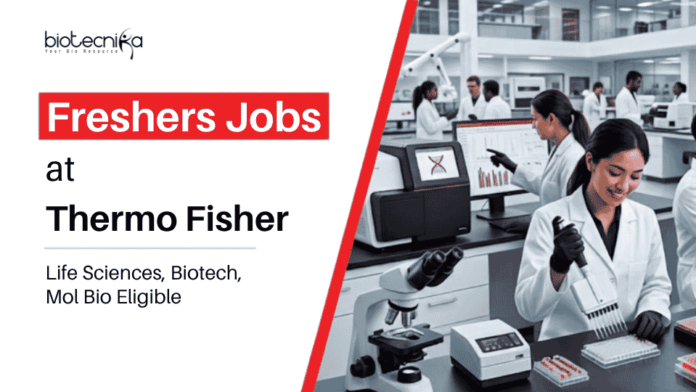 Life Sciences Freshers Jobs Apply for Thermo Fisher Career in Bangalore. Great Opportunity for Life Sciences Freshers Jobs in Scientist Roles.