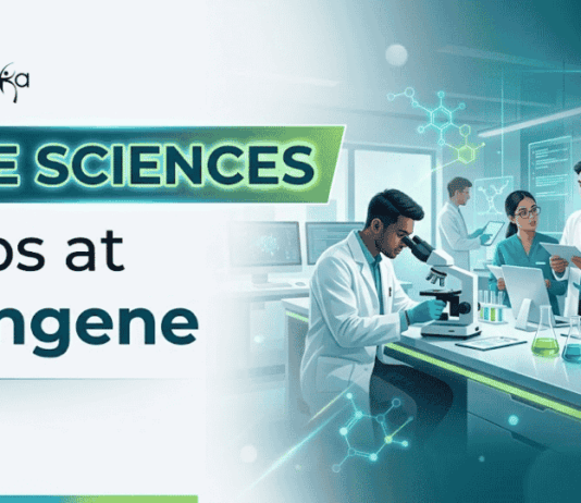 Life Sciences Jobs in Bengaluru at Syngene | Apply Online Now Apply for Syngene Careers 2026. Explore Biotechnology & Life Sciences Jobs in Digital Pathology, AI, and Image Analysis.