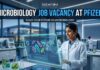 Microbiology Job Vacancy at Pfizer | Apply Online Here Microbiology Job Vacancy at Pfizer | Apply Online Here