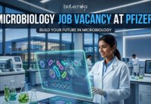 Microbiology Job Vacancy at Pfizer | Apply Online Here Microbiology Job Vacancy at Pfizer | Apply Online Here
