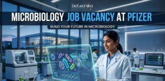 Microbiology Job Vacancy at Pfizer | Apply Online Here Microbiology Job Vacancy at Pfizer | Apply Online Here