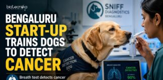 Bengaluru Start-up Trains Dogs to Detect Cancer